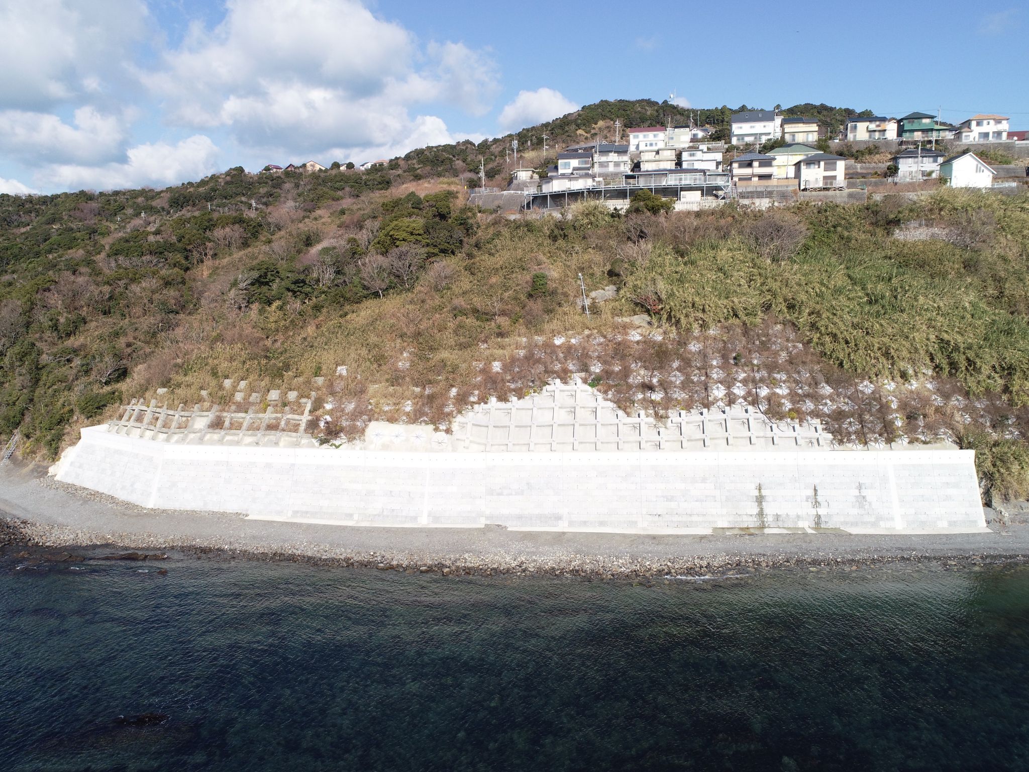 写真5